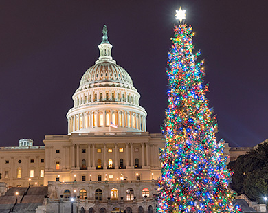 U.S. Capitol and Christmas tree