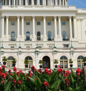 U.S. Capitol in spring